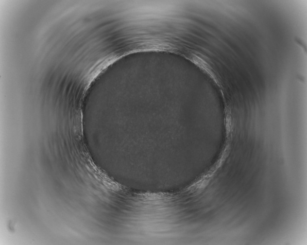 X0000102460781200808291541