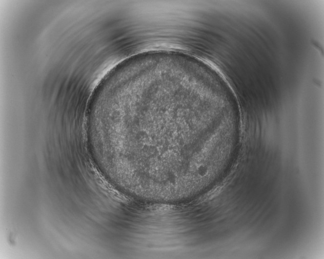 X0000102460783200808291541