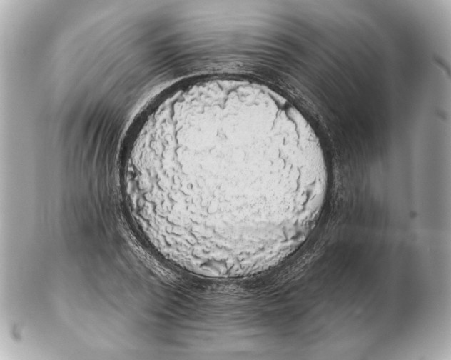 X0000102460784200808291541