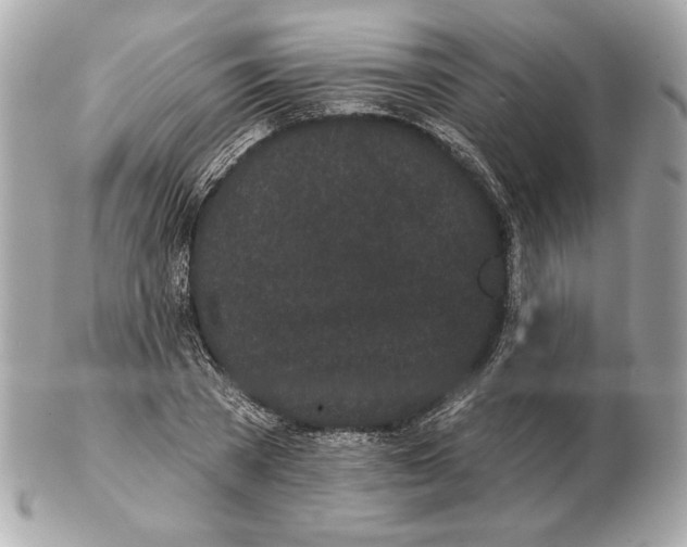 X0000102460785200808291541