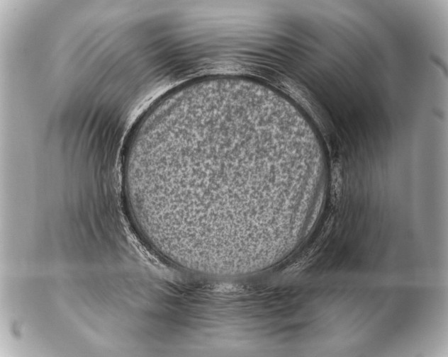 X0000102460787200808291541