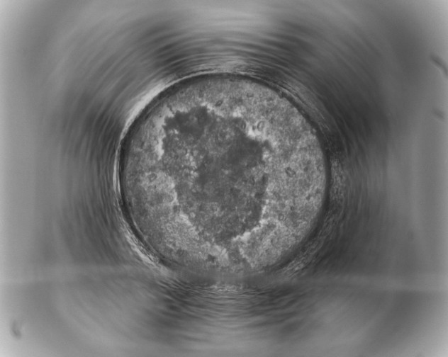 X0000102460788200808291541