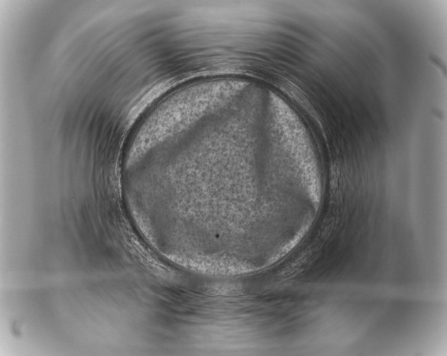 X0000102460789200808291541