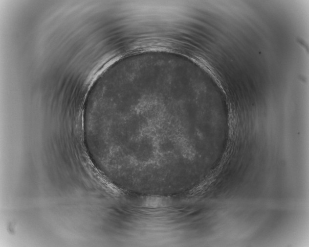 X0000102460790200808291541