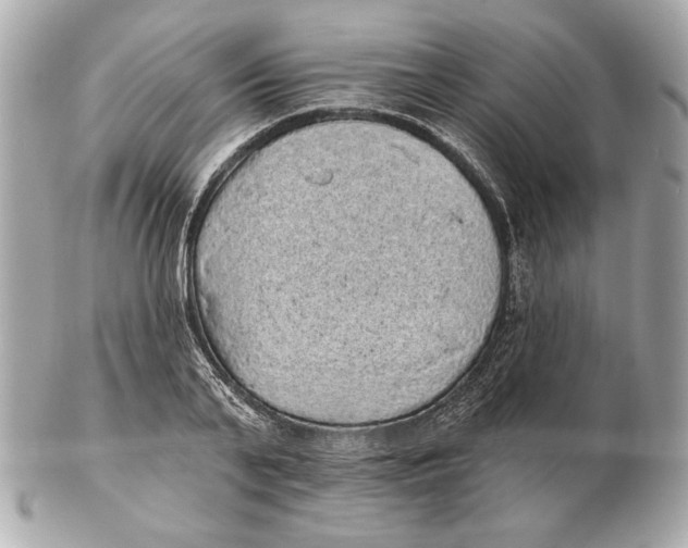 X0000102460791200808291541