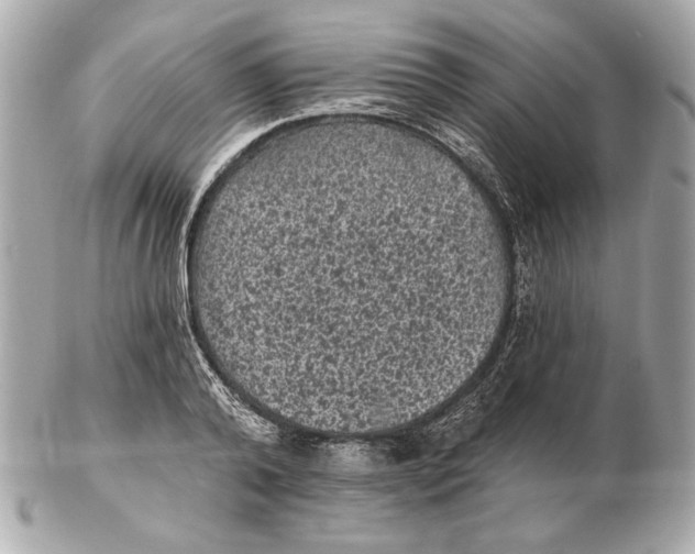 X0000102460792200808291541
