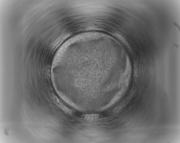 X0000102460793200808291541