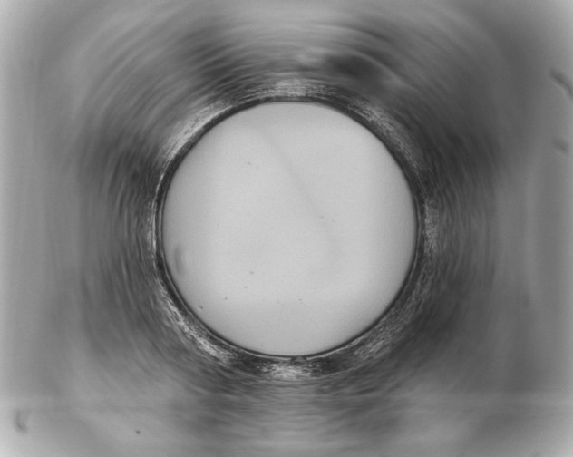 X0000102460794200808291541