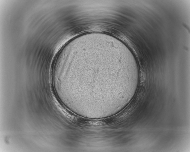 X0000102460795200808291541