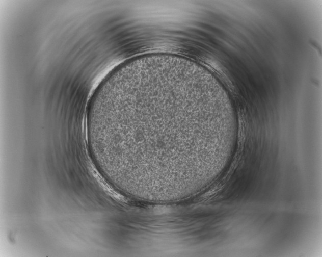 X0000102460796200808291541