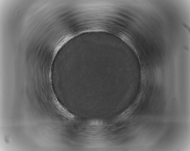 X0000102460797200808291541