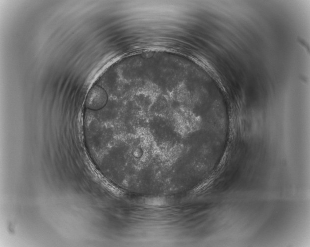 X0000102460798200808291541