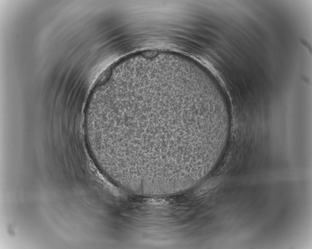 X0000102460799200808291541