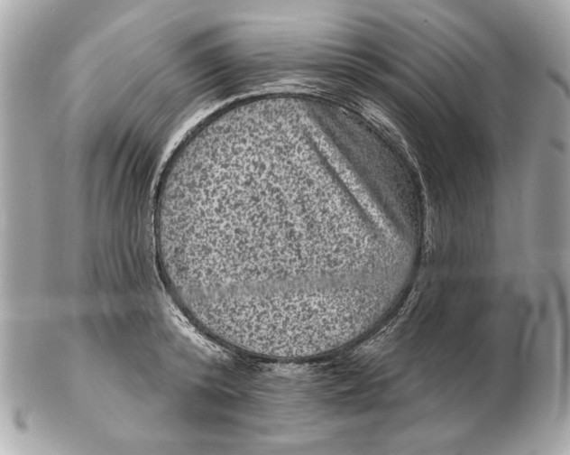 X0000102460800200808291541