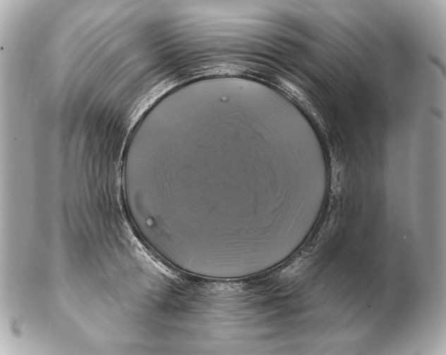 X0000102460802200808291541