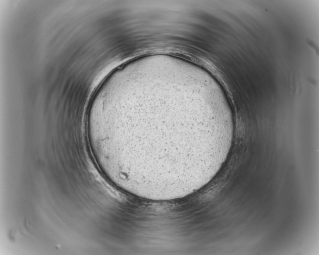 X0000102460803200808291541