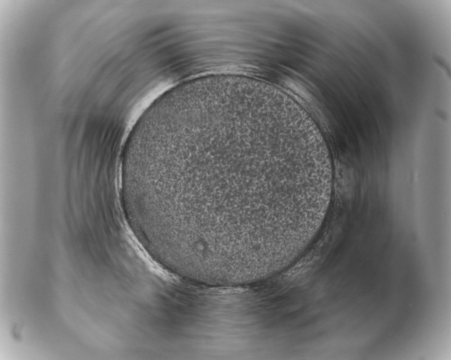 X0000102460804200808291541