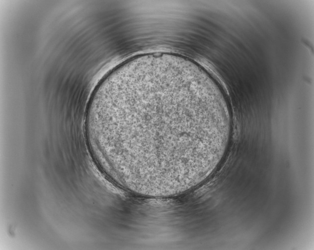 X0000102460805200808291541