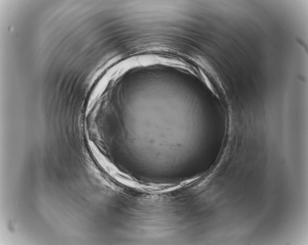 X0000102460806200808291541