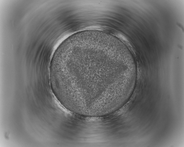 X0000102460808200808291541