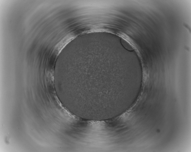 X0000102460809200808291541