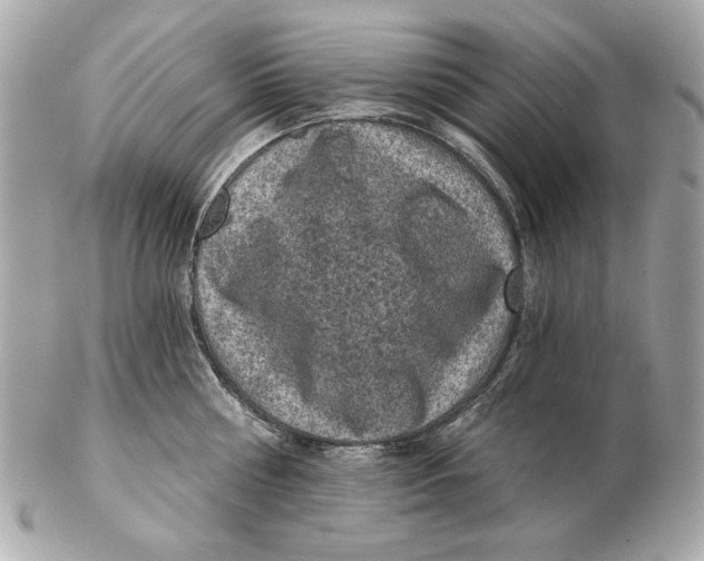 X0000102460810200808291541