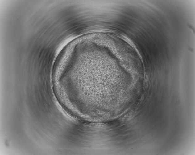 X0000102460811200808291541