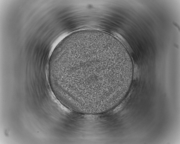 X0000102460812200808291541