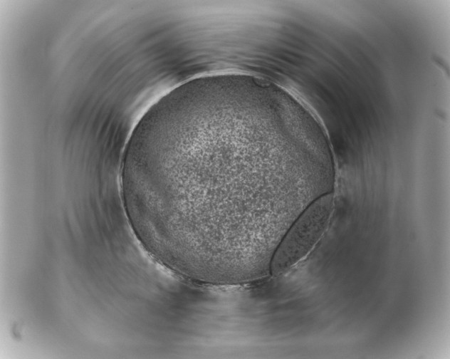 X0000102460813200808291541