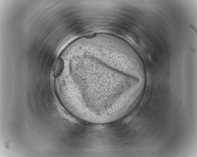 X0000102460814200808291541