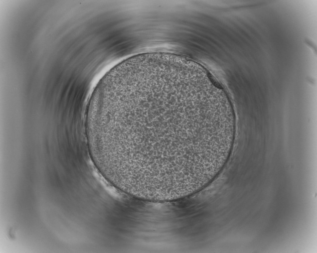X0000102460816200808291541