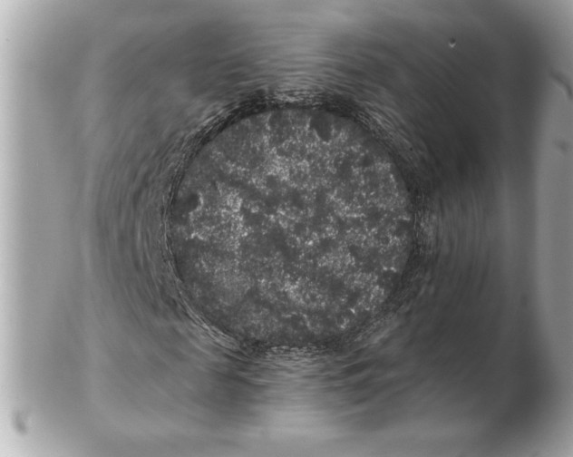 X0000102460817200808291540