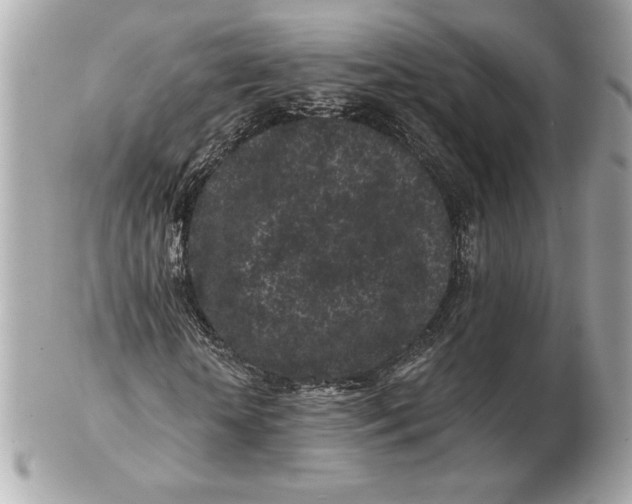 X0000102460818200808291540