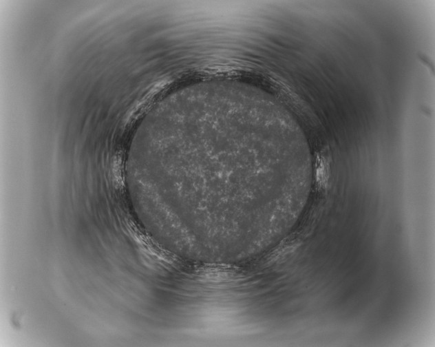 X0000102460819200808291540