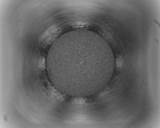 X0000102460820200808291540