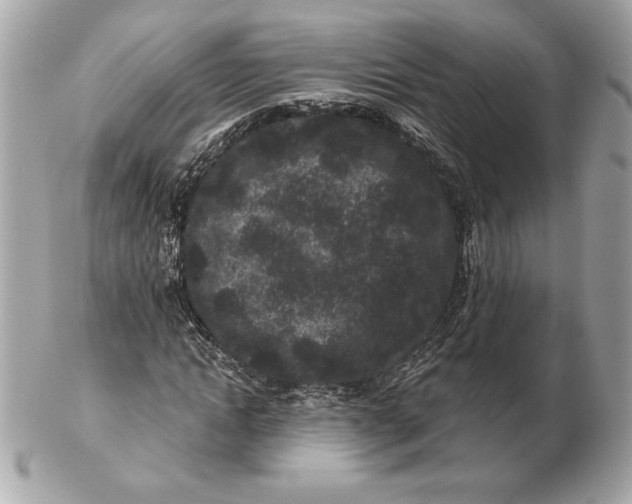 X0000102460822200808291540