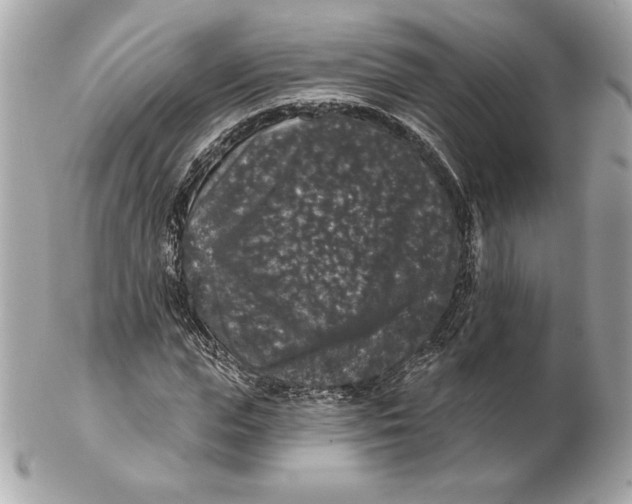 X0000102460823200808291540