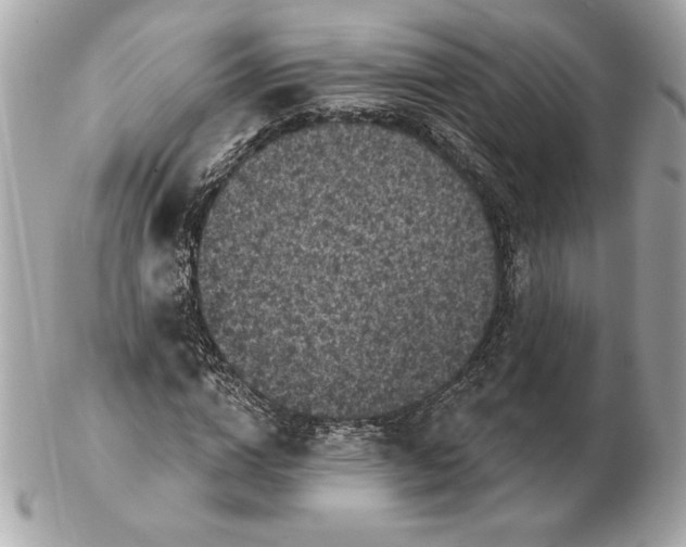 X0000102460824200808291540