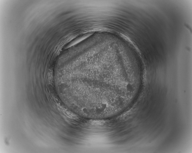 X0000102460825200808291540
