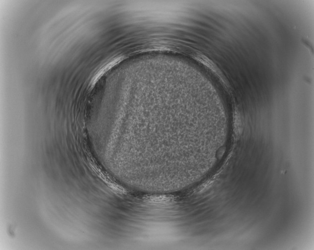 X0000102460826200808291540