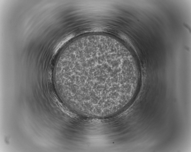 X0000102460827200808291540