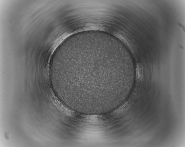 X0000102460828200808291540