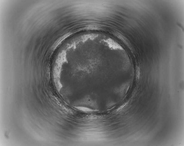 X0000102460829200808291540