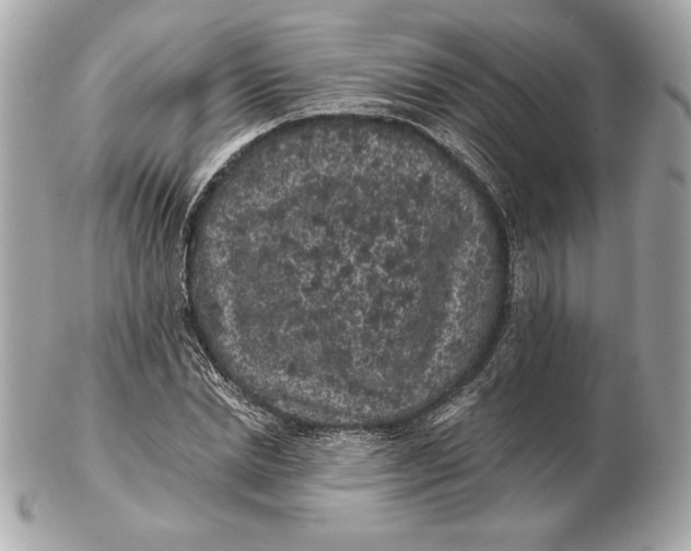 X0000102460830200808291540