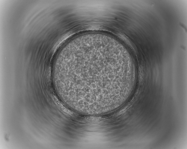 X0000102460831200808291540