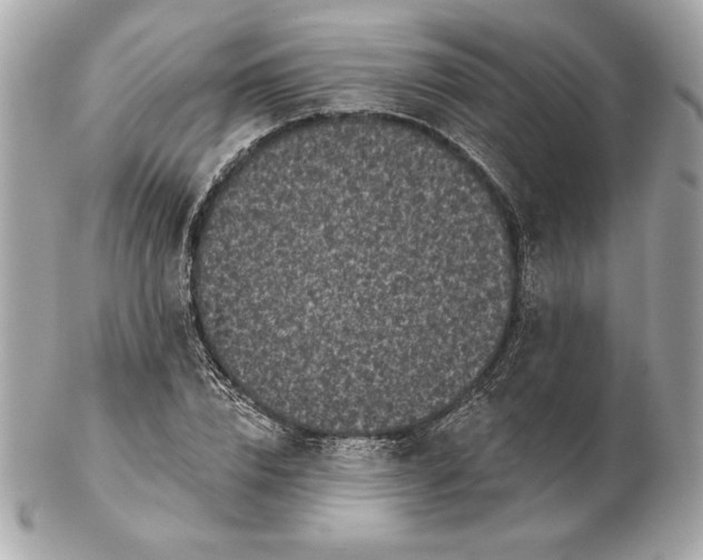 X0000102460832200808291540