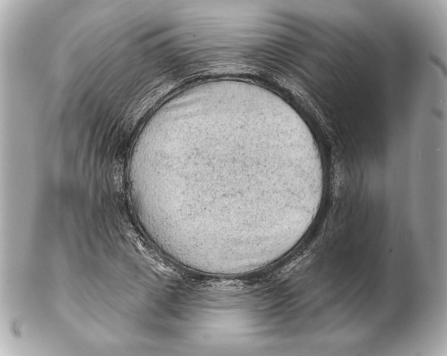 X0000102460833200808291540