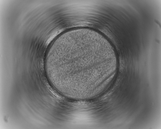 X0000102460834200808291540