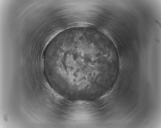 X0000102460835200808291540