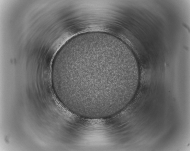 X0000102460836200808291540